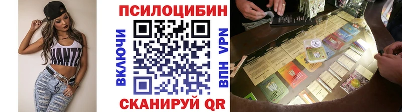 где продают   MEGA вход  Псилоцибиновые грибы Psilocybine cubensis  Новое Девяткино 